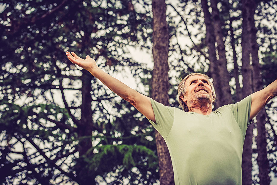 MAN IN PINE FORREST
